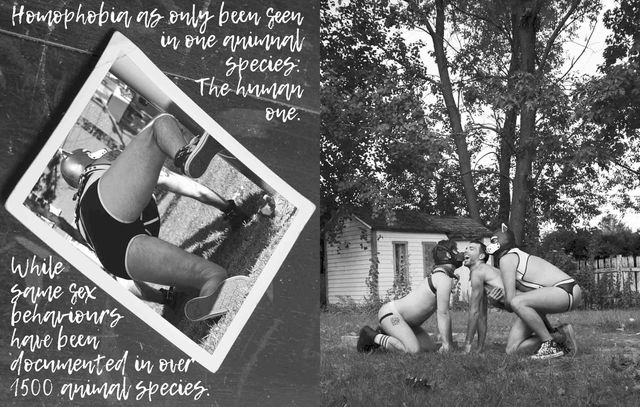 Photographie pop art par Jihef