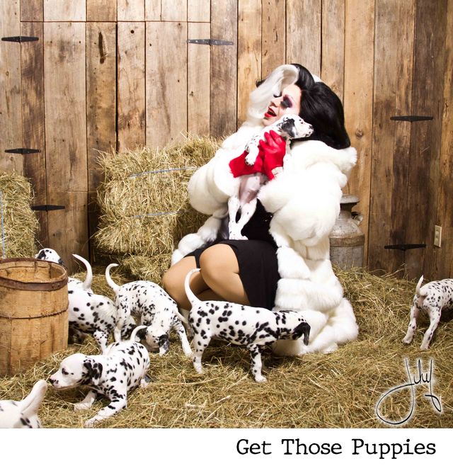Get Those Puppies — photographie pop art par Jihef